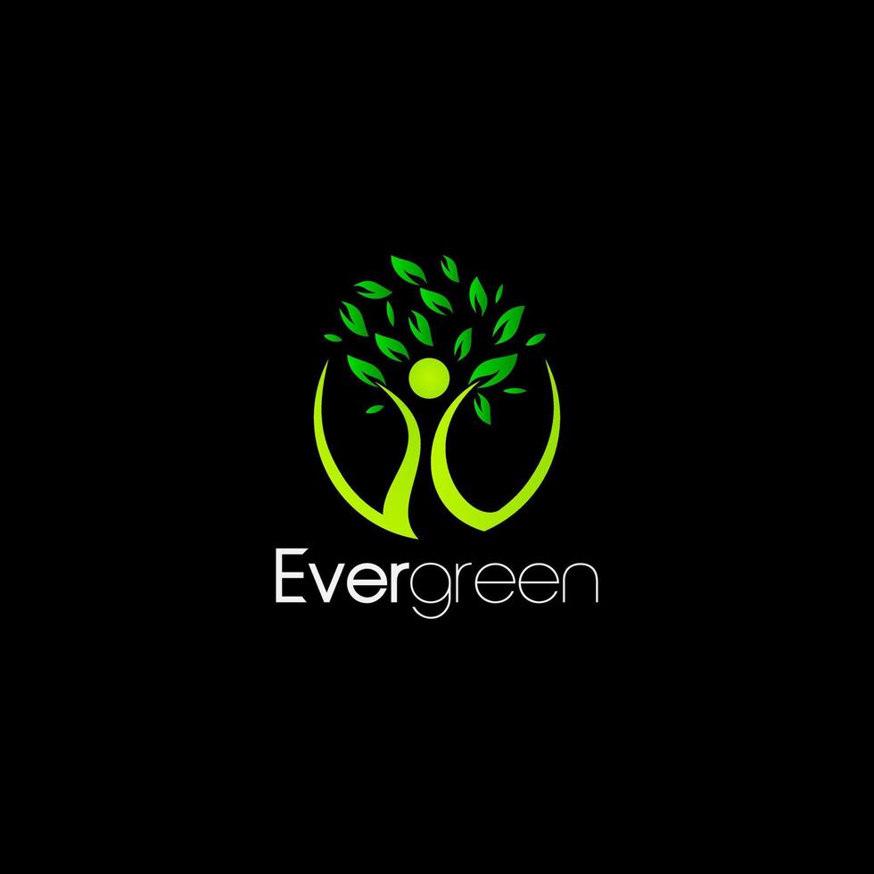 Evergreen web